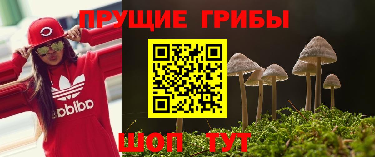 Рязань  Галлюциногенные грибы мицелий  что такое наркотик  Вход с VPN 